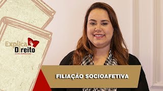 Explica Direito Filiação Socioafetiva  2019 [upl. by Ahsirpac]