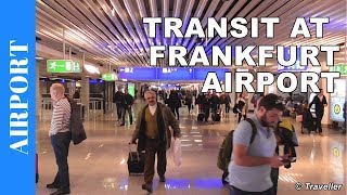 TRANSIT WALK AT FRANKFURT Airport FRA Terminal 1  Connection Flight Transfer Arriving amp Departing [upl. by Eerized718]